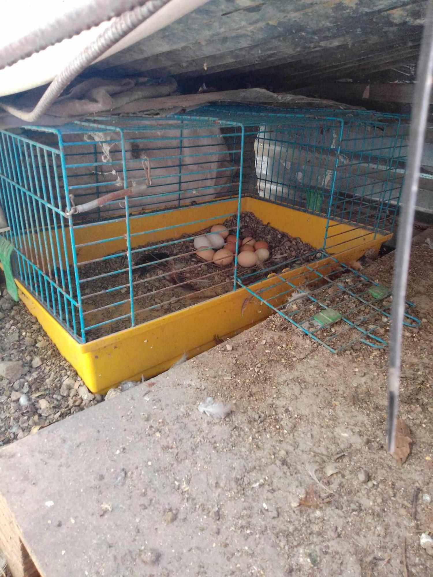 Appartement Το Μικρό Σπίτι Στη Φάρμα! à Acharnes Extérieur photo
